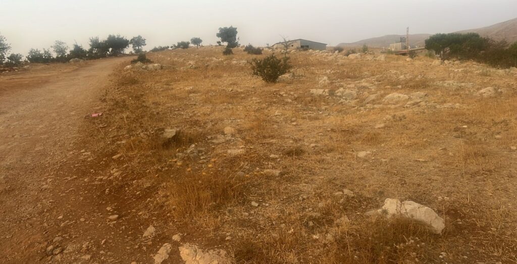 مشروع استصلاح الأراضي الزراعية وزراعة الأشجار المثمرة
