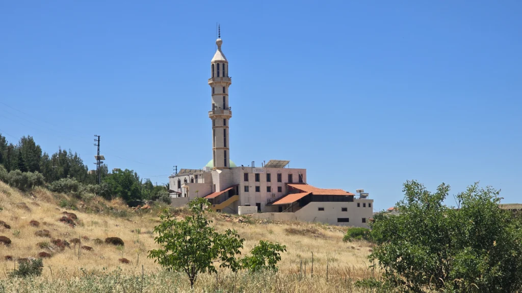مسجد سيد الشهداء