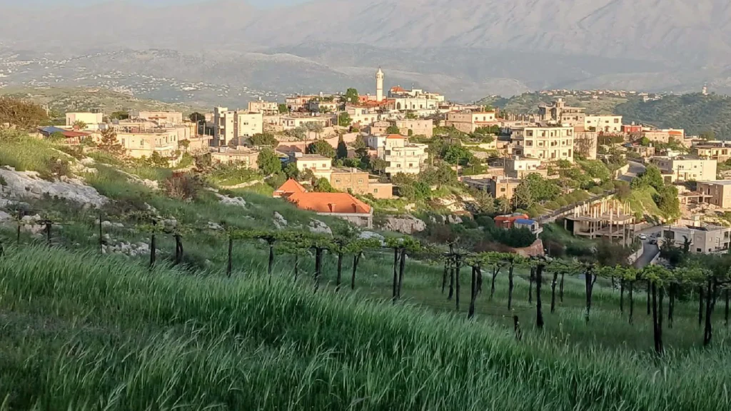مشهد من بلدة مجدل بلهيص